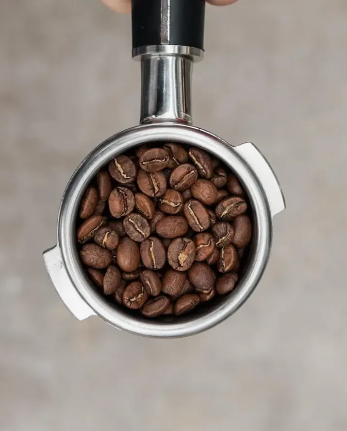Robusta Temanggung